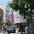 청와대 개방 예약 관람 신청 꿀팁 청와대 관람 후기