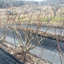 김세종농장 이미지