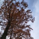 스포츠타운길 이미지