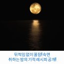 취하는밤 이미지