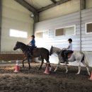 임자남초등학교 이미지