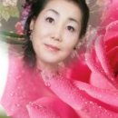 대웅음반 이미지