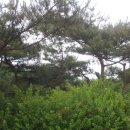 소원보건지소 이미지