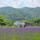 하늬농장 이미지