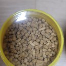 가재야 | [물 생활 일지] 가재 사료 구입 후기 2탄 - psp 크러스트 사료