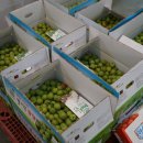 국립농산물품질관리원 영월 이미지