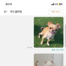 무드셀라엄