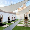 스넛지필라테스 | 신정동 필라테스 스넛지 필라테스 필라테스 플레이스 재등록하게 된 이유