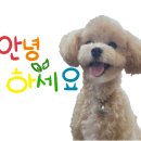 타타스 수원대점