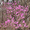 만물공인중개사사무소 이미지