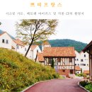 메타세쿼이어길 화장실 이미지