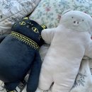 대영세탁 이미지