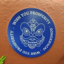 꿍시파차이 이미지