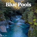 여행갈래블루 | 뉴질랜드 캠핑카 여행 5일차｜블루풀(Blue Pools Track)｜Hampshire Holiday Parks 후기