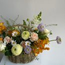 라비르콘테
