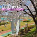 무한천체육공원 주차장 | 예산 벚꽃 데이트 봄나들이 피크닉하기 좋은 무한천 체육공원