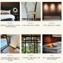 별들의 기침 | 인제 고즈넉한 독채 펜션 “별들의 기침” |내돈내산