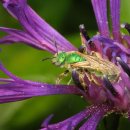 CW-1407-01 이미지