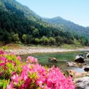 송화펜션 이미지