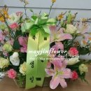 MARYJINFlower