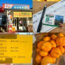 뙤미물류