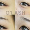 오래쉬(OLASH)