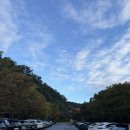 해비치하우스 | [[ 남양주 해비치CC ]] 가을라운딩💕