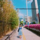 질경이우리옷 이미지