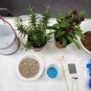 가야2동-9 이미지