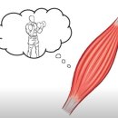 머슬메모리 이미지