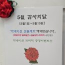 울산남구떡집떡나래 카네이션 꿀 백설기 선물세트