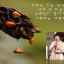 벗님헤어