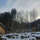 청태산휴양림 | 횡성 숙소 후기 [청태산자연휴양림 분비나무] 내돈내산/솔직후기/준비물 꿀팁