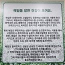 천마산메밀가