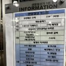 바르다 펫 부산센텀점 | 부산 애견카페 추천 주차 걱정 없는 센텀 스포독 강아지가 더 좋아함