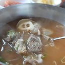 도치돌가든 이미지