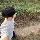 유돈노우미 유돈노우미
