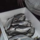 선우민박 이미지