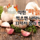 익힌 마늘 먹으면 나타나는 11가지 몸의 변화 이미지