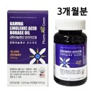 팜그린 이미지