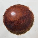 표현연습미술교습소