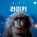 리얼그래픽