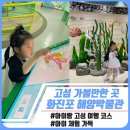 고성박물관 | 화진포 해양박물관 후기｜강원도 고성 아이랑 여행 코스