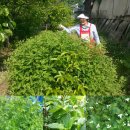 대부건강원 이미지