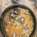 정성순대밀양점 | 해운대 맛집 밀양순대돼지국밥 본점 48시간 정성 우려낸 진국 한 그릇