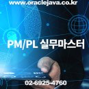 PM/PL 프로젝트 실무마스터 (PMP 자격증합격) 이미지