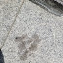 세종해수사우나