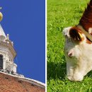 사진 카메라 아카데미 이미지