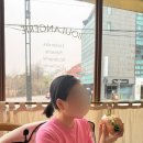 영창빌딩 | 르뱅룰즈 선릉 소금빵 바게트 샌드위치 어니언스프 빵집