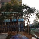 THE행복한공인중개사사무소 네이버블로그